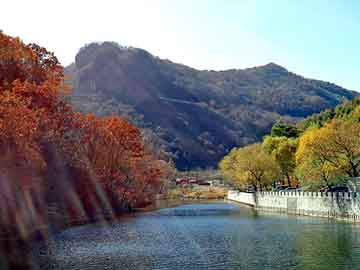 新澳天天免费资料大全，水洗高岭土价格